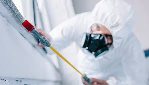 Best Pest Control for Multi-Family Homes  in Princeton Junction, NJ